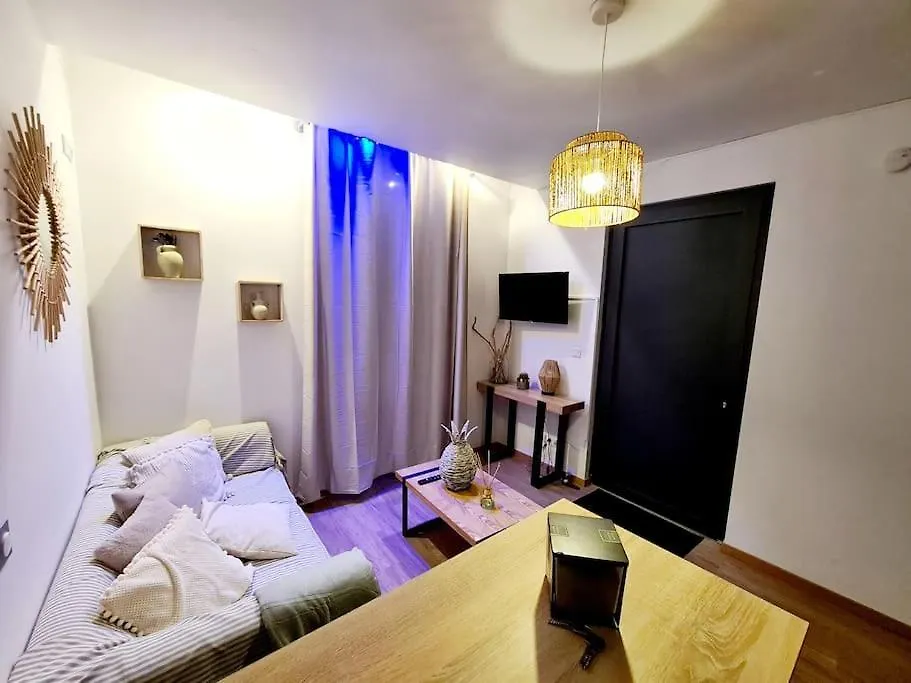 Appartement Cosy Et Calme En Hyper-Centre Tarbes 0*,  Francie